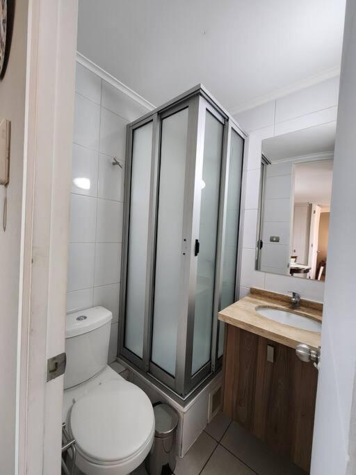 Acogedor Apartamento En Centro De Santiago. Екстер'єр фото