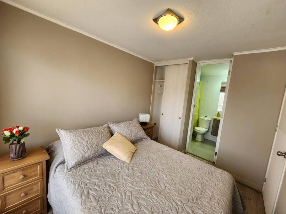 Acogedor Apartamento En Centro De Santiago. Екстер'єр фото